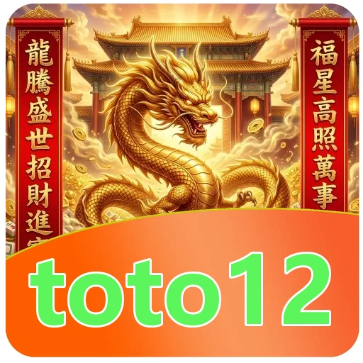 Troubleshooting toto12